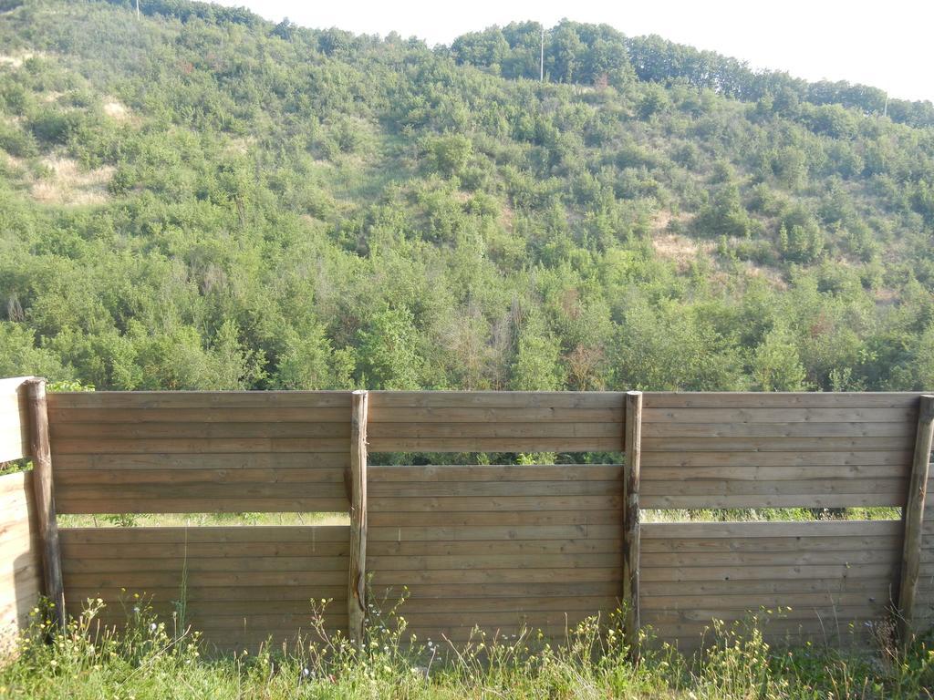 La Colombarola Agriturismo Farneto エクステリア 写真