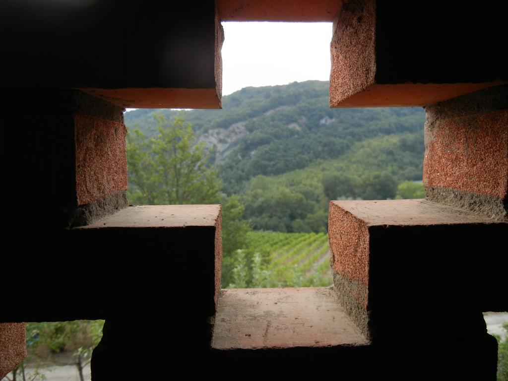 La Colombarola Agriturismo Farneto エクステリア 写真