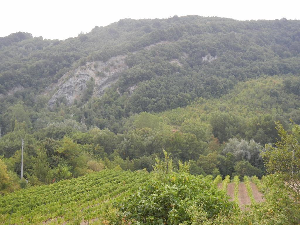 La Colombarola Agriturismo Farneto エクステリア 写真