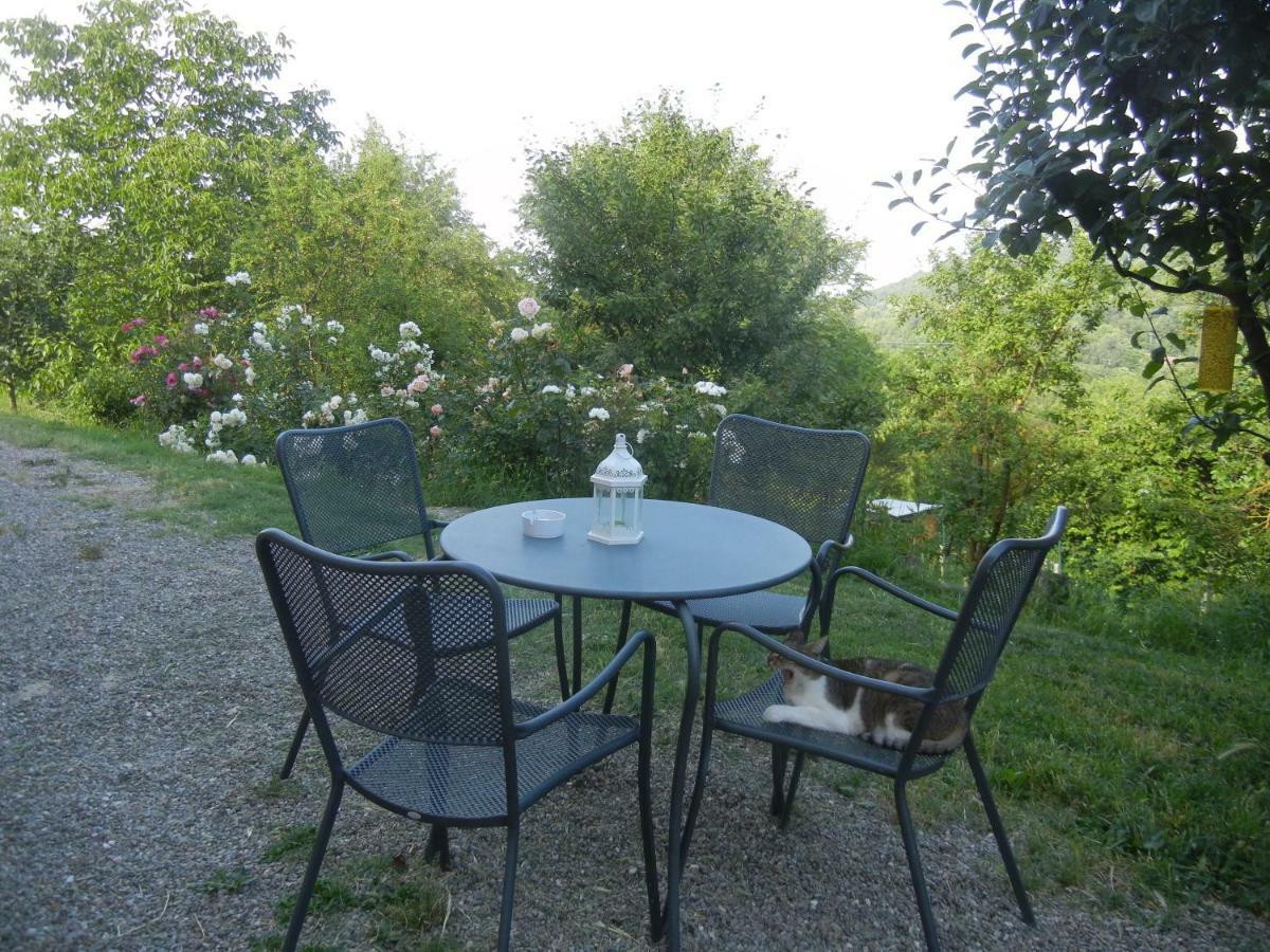 La Colombarola Agriturismo Farneto エクステリア 写真