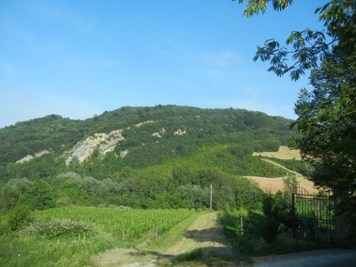 La Colombarola Agriturismo Farneto エクステリア 写真